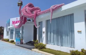 Seashell Museum